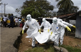 Đại dịch Ebola lây lan toàn cầu 